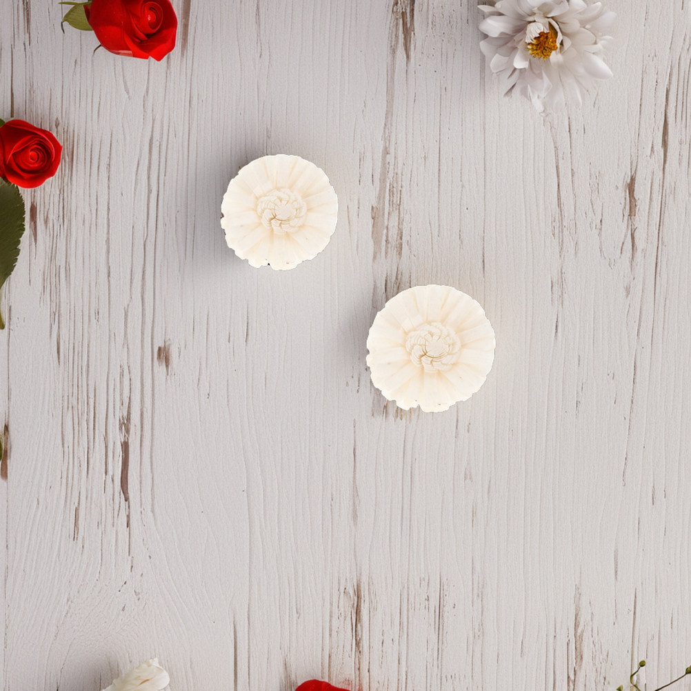 8 pezzi di diffusori a forma d - Home Fragrance Usa recensione e prezzo
